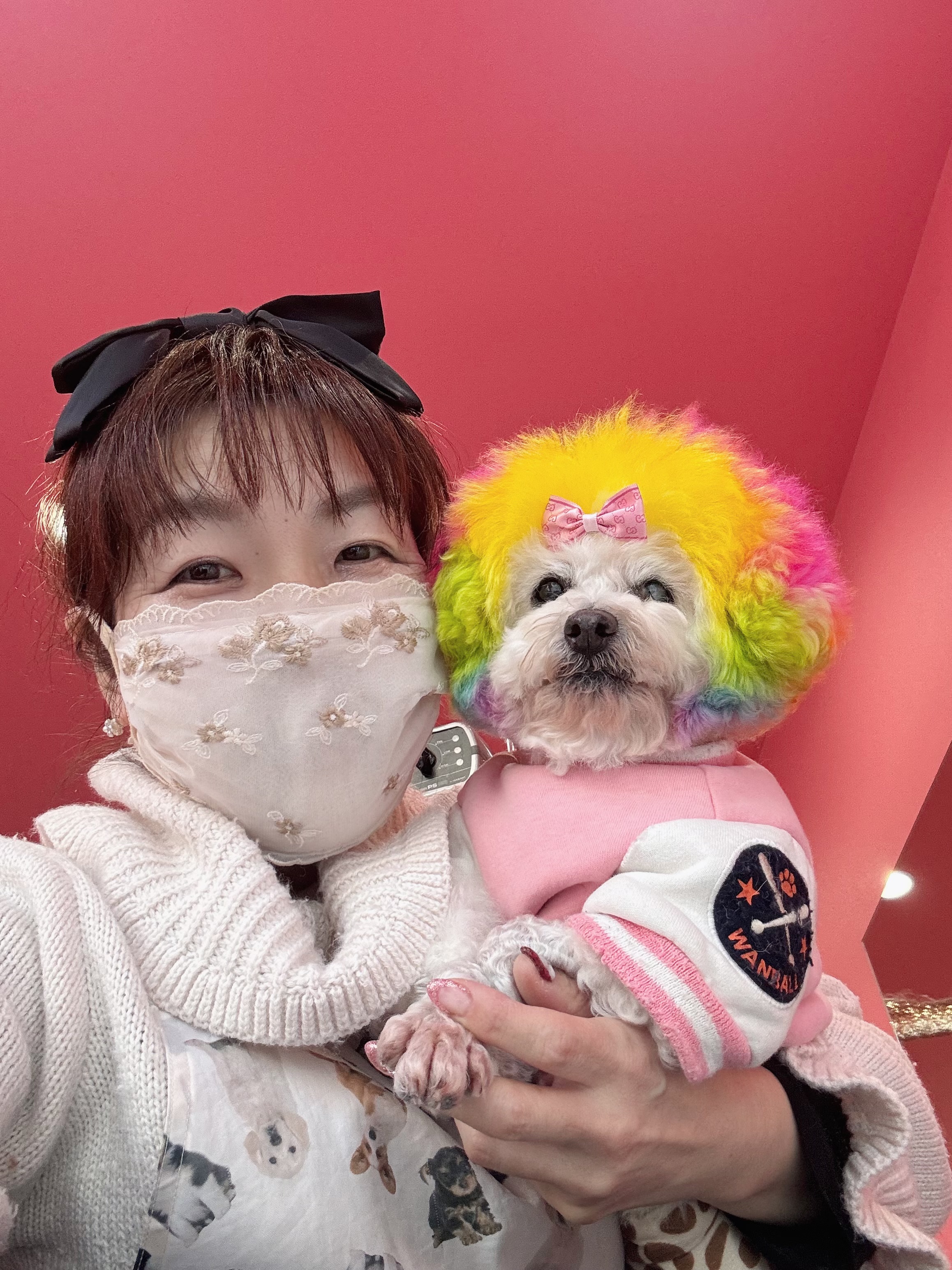 オーナートリマーと愛犬